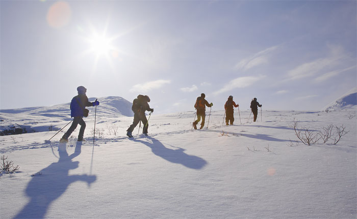 Swedish Lapland Adventure Snowshoe Walking