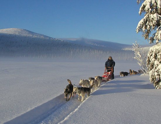 Lapland Husky Adventure Mountains