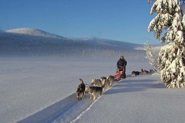Lapland Husky Adventure Mountains