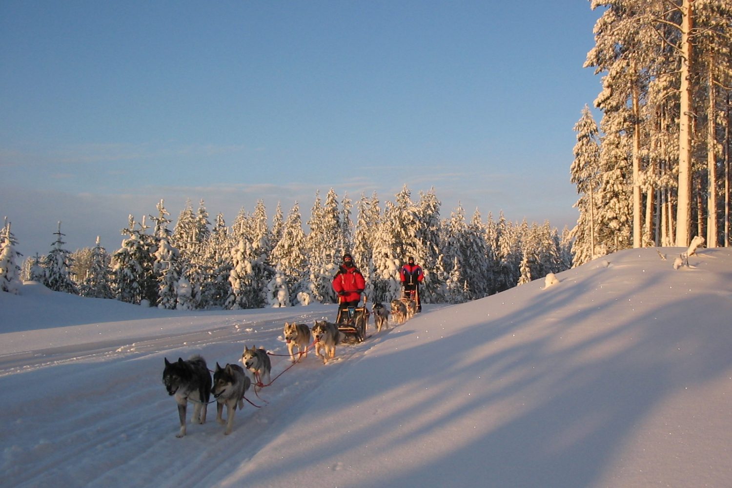 Winter Snow Adventure Finland